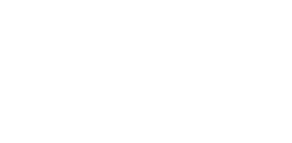 LOGO LIDER ORTOPEDIA BRANCO 01